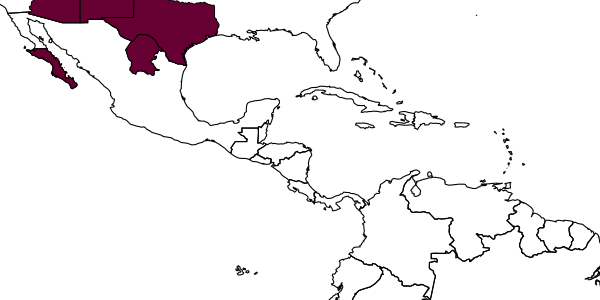 map of Epeolus tessieris     Onuferko, 2018